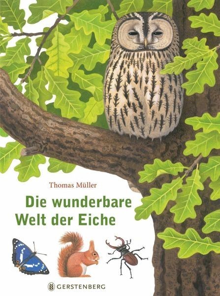 Gerstenberg Die wunderbare Welt der Eiche Spielzeug