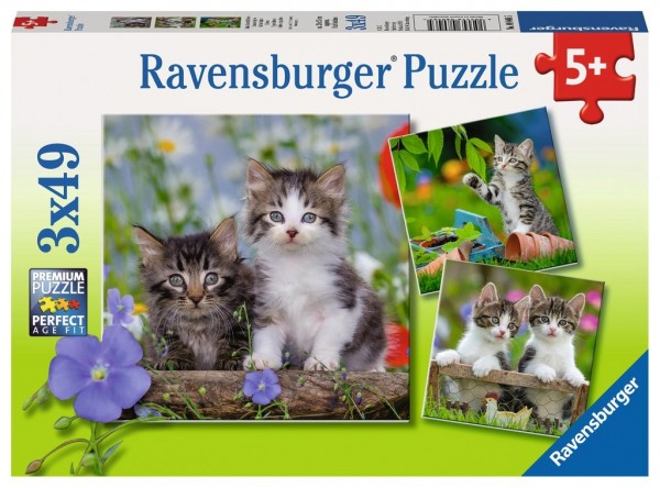 Ravensburger Spieleverlag Kinderpuzzle - Süße Samtpfötchen 3x49 Teile Spielzeug